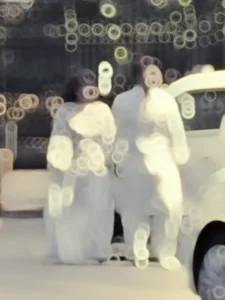 Ishq De Fanniyar Capcut Template