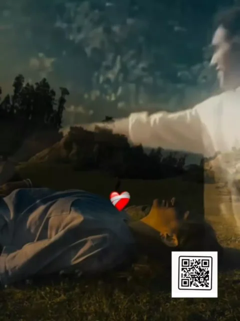 Teri Meri Prem Kahani Vn Code Templates