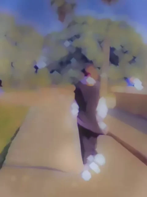 Dil Lagana Mana Tha Capcut Template