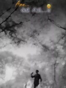 અરે મને એકલો છોડી દો Capcut Template