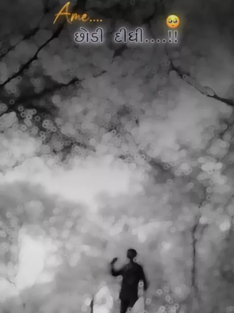 અરે મને એકલો છોડી દો Capcut Template