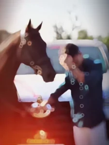 કાળુ ભગત ની મેલડી Capcut Template Link