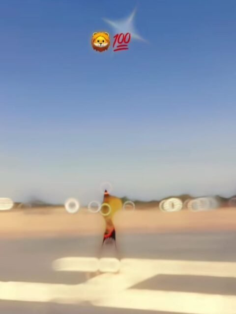 Style Gujarati Capcut Template