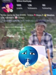 Bihari-Fonk-Capcut-template