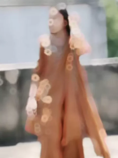 Moniti Gujarati Capcut Template