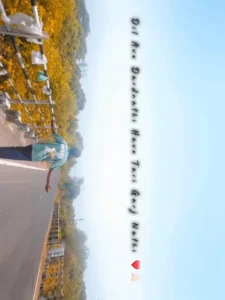 Tane Ram ram Capcut Template