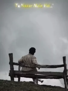 Tu Pyaar Hai Kisi Or Ka Capcut Template