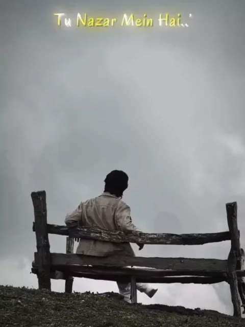Tu Pyaar Hai Kisi Or Ka Capcut Template