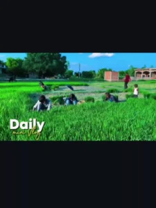 Daily Mini Vlog Capcut Template