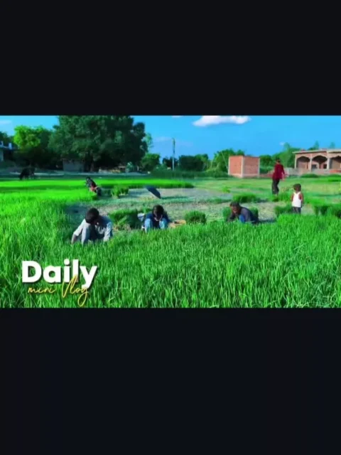 Daily Mini Vlog Capcut Template